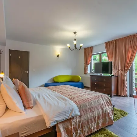 Gasthuis Trubadur - Adults Only Bran (Brasov)
